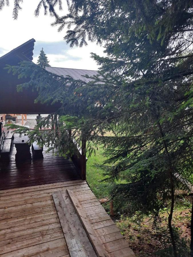 Pensiunea Teodora Moisei Dış mekan fotoğraf
